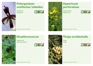 Pelargonium reniforme/sidoides Hypericum perforatum