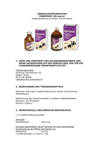 GEBRAUCHSINFORMATION MARBONOR 100 mg/ml