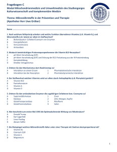 Fragebogen C