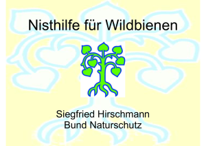 Vortrag über Wildbienen von Herrn Hirschmann