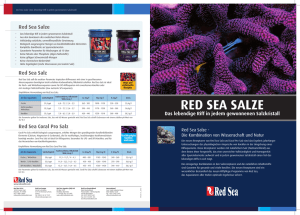 red sea salze
