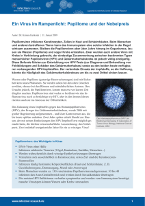 Ein Virus im Rampenlicht: Papillome und der Nobelpreis