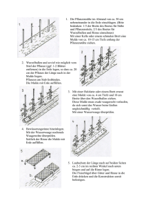 1. Die Pflanzenstäbe im Abstand von ca. 50 cm nebeneinander in