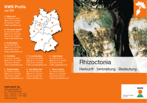 Rhizoctonia