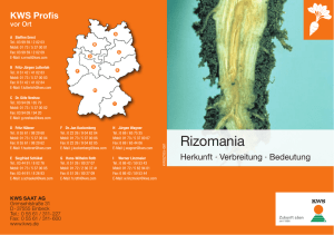 Rizomania Brosch&uuml;re