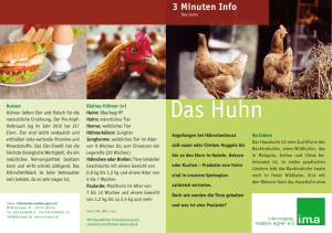 3 Minuten Info Das Huhn - ima
