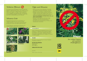 Flyer zum Thema gebietsfremde Pflanzen