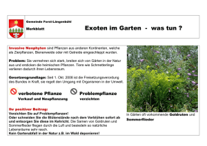 Exoten im Garten - was tun - Gemeinde Forst