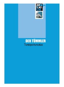 ZOOXXI_Der_Tümmler