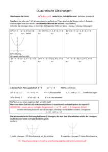 Quadratische Gleichungen