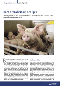 S.03-05 Ileitis - Tiergesundheit und mehr