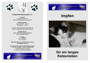 Flyer_Impfungen - Katzenhilfe Westerwald eV