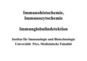 Immunohistochemie, Immunozytochemie Immunglobulindetektion