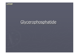 Glycerophosphatide - Biochemie Trainingscamp