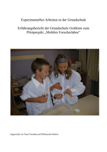 Experimentelles Arbeiten in der Grundschule Erfahrungsbericht der