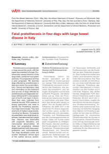 Fatal protothecosis in four dogs with large bowel disease in Italy