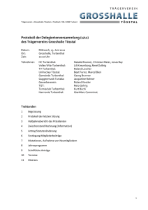 Protokoll DV Trägerverein 13. Juni 2012
