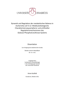 Dynamik und Regulation der metabolischen Balance