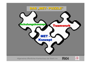 DAS &bdquo;MET- PUZZLE &ldquo; Teamwork MET