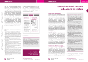 Autogenerated PDF