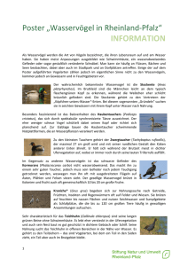 INFORMATION - Stiftung Natur und Umwelt Rheinland