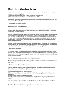 Merkblatt Qualzuchten