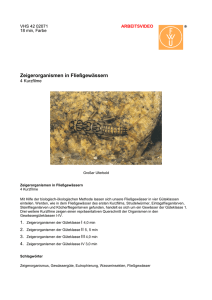 Zeigerorganismen in Fließgewässern - IMeNS Lahn-Dill