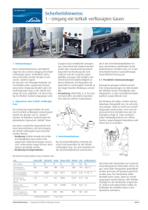 Sicherheitshinweise. 1 – Umgang mit tiefkalt verflüssigten Gasen.