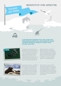 Tierwelt der Arktis