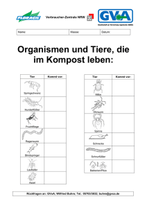 1.3 Organismen und Tiere, die im Kompost leben