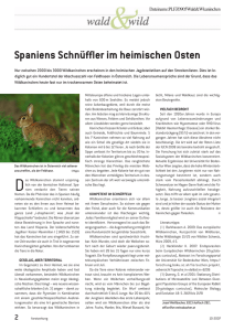 05 Wildkaninchen – Spaniens Schnüffler im heimischen Osten