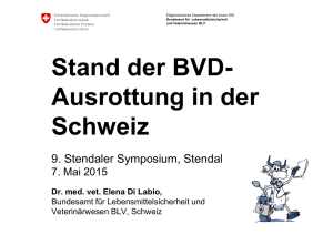 Stand der BVD-Ausrottung in der Schweiz