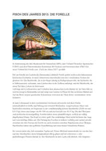 fisch des jahres 2013: die forelle - Angler