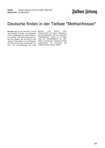 Deutsche finden in der Tiefsee "Methanfresser"
