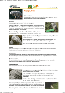 Graupapagei PDF OLIs Tierlexikon
