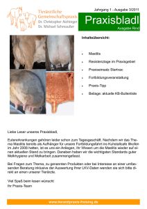 Praxisbladl - Tierarztpraxis Freising