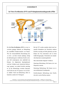 Arbeitsblatt 008 – In Vitro Fertilisation und Präimplantationsdiagnostik