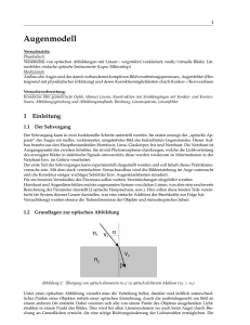 Augenmodell