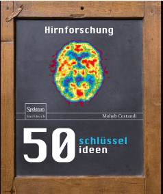50 Schl&uuml;sselideen Hirnforschung