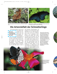 Die Artenvielfalt der Schmetterlinge