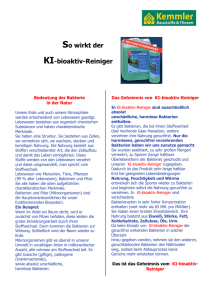 KI-bioaktiv Reiniger - System ERNST® Nederland