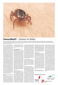 Gesundheit!– Zecken im Wallis