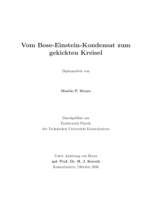 Vom Bose-Einstein-Kondensat zum gekickten Kreisel