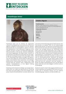 Paranthropus boisei - Urzeit in Gießen entdecken