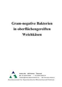 Gram-negative Bakterien in oberflächengereiften