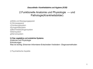 2.Funktionelle Anatomie und Physiologie --