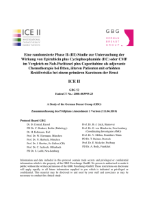 10-07-09 ICE2 Deutsche Zusammenfassung Amendment1 V2 DRAFT