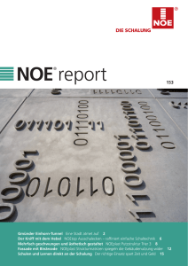 NOE report - NOE