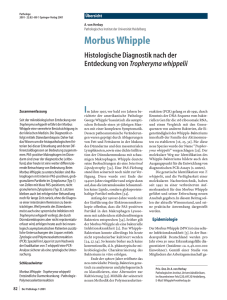 Morbus Whipple - Dr. med. Axel von Herbay, Professor für Pathologie