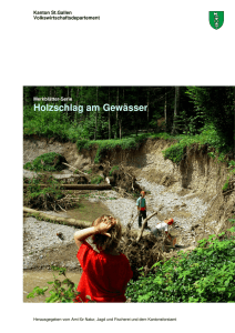 Merkblatt Gewässer Holzschlag (2386 kB, PDF)